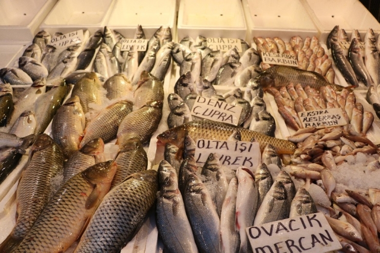 Balık Sezonu Kapandı Ama Fiyatlar Artmadı