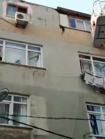 İtfaiye Ekipleri 5. Katın Penceresinden Düşen Kediyi Atlama Çadırıyla Kurtardı