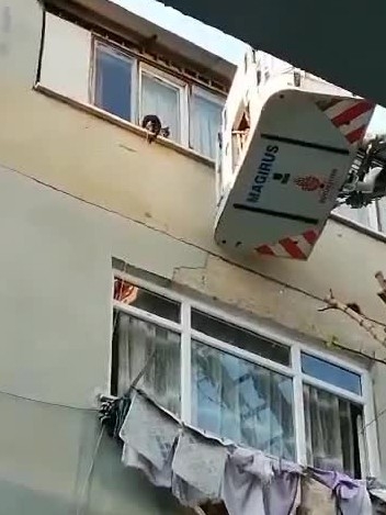 İtfaiye Ekipleri 5. Katın Penceresinden Düşen Kediyi Atlama Çadırıyla Kurtardı