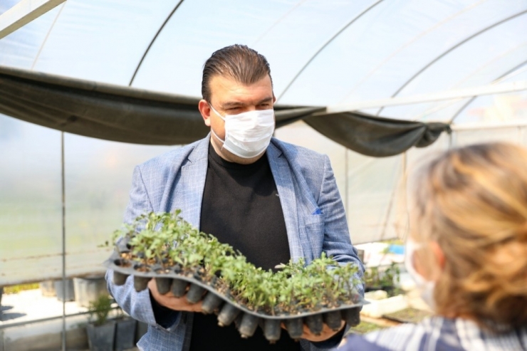 Seferihisar’da 50 Bin Fide Dağıtımı Yapılacak