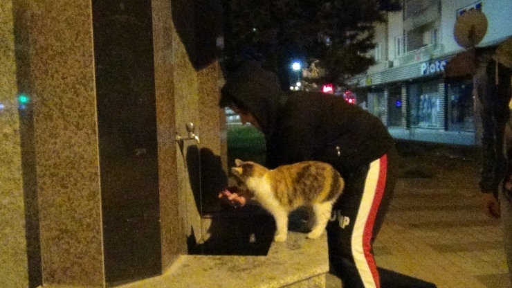 Eliyle Kediye Su Verdi