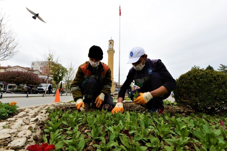 Çorum’da Belediye, 50 Bin Çiçeği Toprakla Buluşturuyor