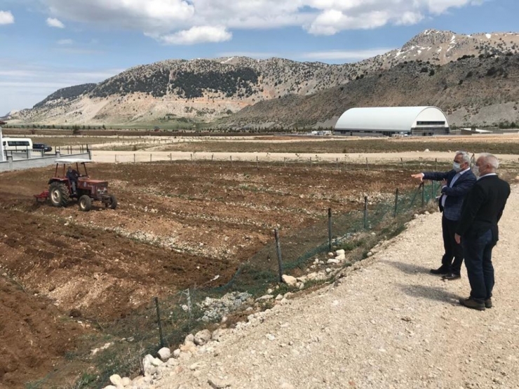 Davraz Kayak Merkezi Gül Ve Lavanta Kokacak