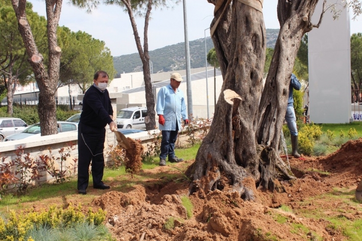 Menteşe Devlet Hastanesi Kullanıma Hazır