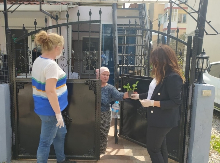 Buca’da Balkon Tarımı Başladı: “Evde Kal, Evde Üret”