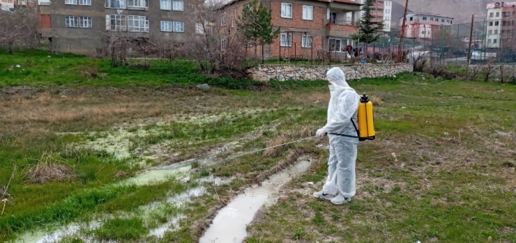 Hakkari’de Larva İle Mücadele Çalışması