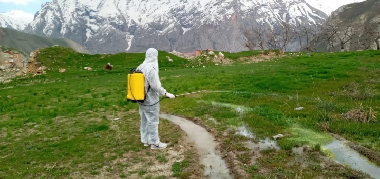 Hakkari’de Larva İle Mücadele Çalışması