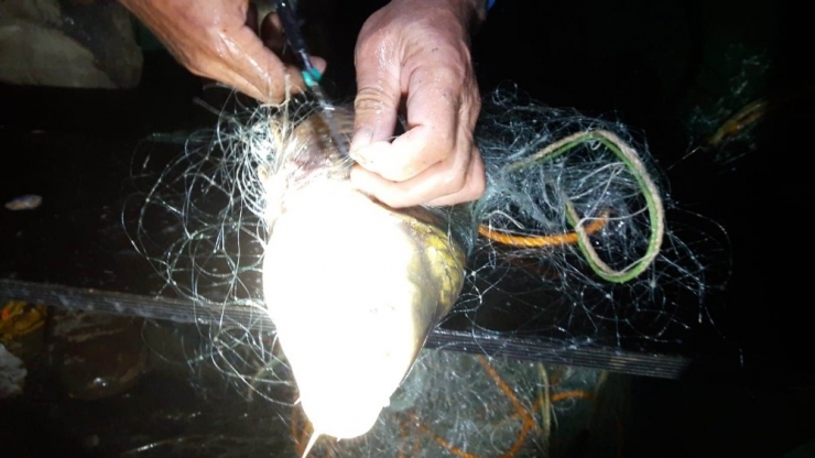 Konya’da Baraj Ve Gölde Yasa Dışı Avlanmaya Sıkı Denetim