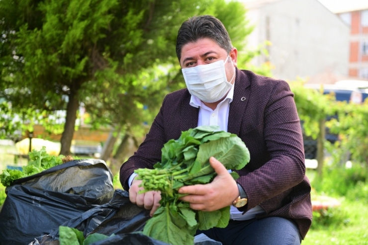 Ürünlerini Satamayan Çiftçinin İmdadına Belediye Yetişti