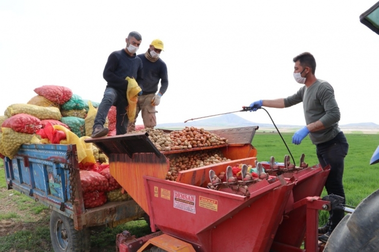 Niğde’de Patates Ekimi Başladı