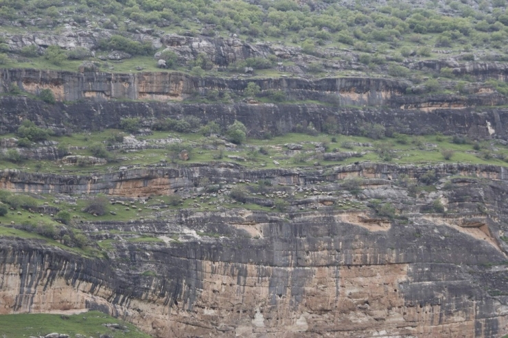 Geçiş Yolları Su Altında Kalan Göçerler, Tehlikeli Yollardan Yaylalara Ulaşmaya Çalışıyor
