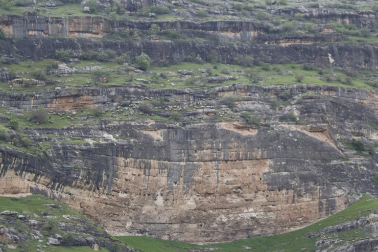 Geçiş Yolları Su Altında Kalan Göçerler, Tehlikeli Yollardan Yaylalara Ulaşmaya Çalışıyor