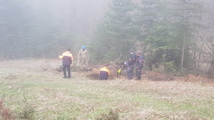 Sinop’ta Kaybolan Çocuğu Arama Çalışmaları Sürüyor