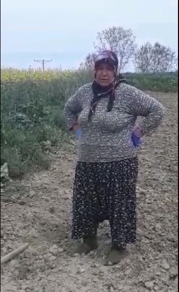 Tekirdağlı Anne Tarlada Gözyaşlarına Boğuldu: Polis Oğluna Ve Sağlık Çalışanı Gelinine Seslendi