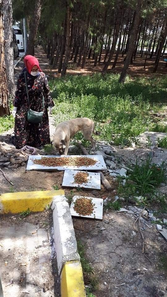 Uşak’ta Sokak Hayvanları Unutulmadı