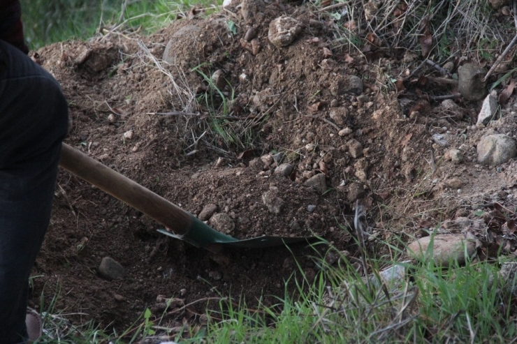 Hemşirenin Gömdüğü Kedi Polisi Alarma Geçirdi