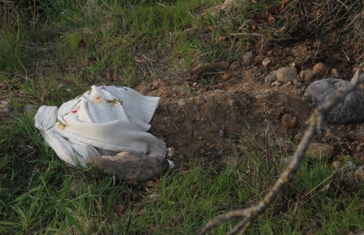 Hemşirenin Gömdüğü Kedi Polisi Alarma Geçirdi