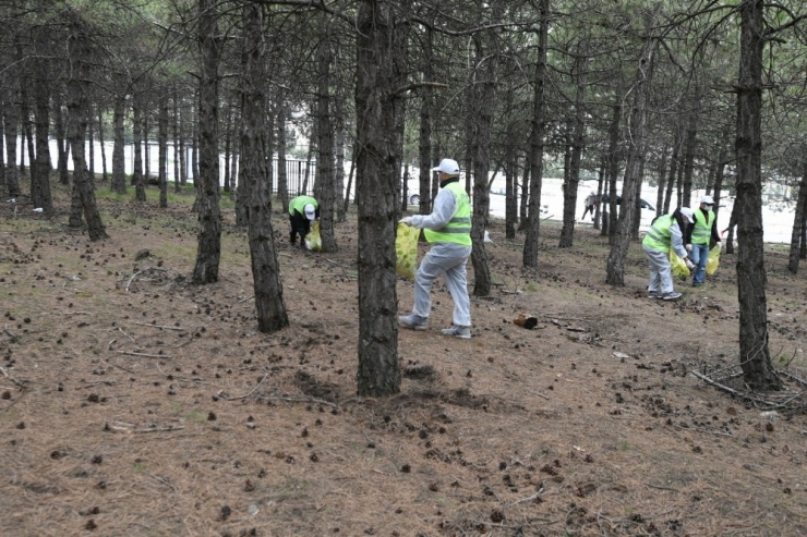 Ankara Kent Konseyi Can Dostları Unutmadı