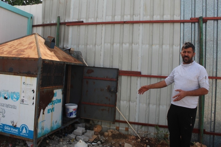 Girdikleri İş Yerinden Köpeği Bile Çaldılar