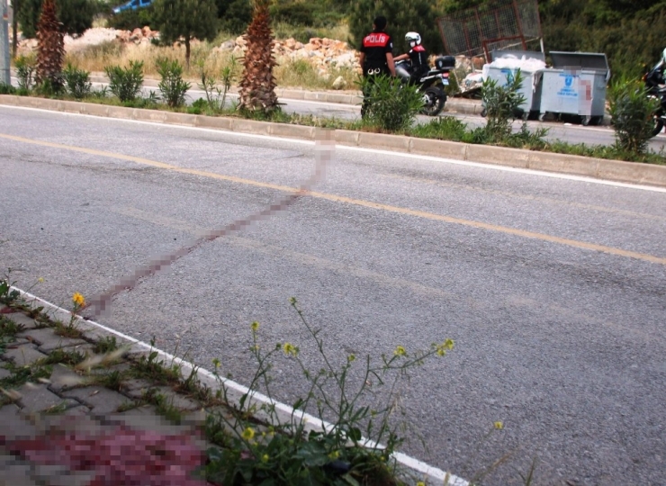 Böyle Vahşet Görülmedi