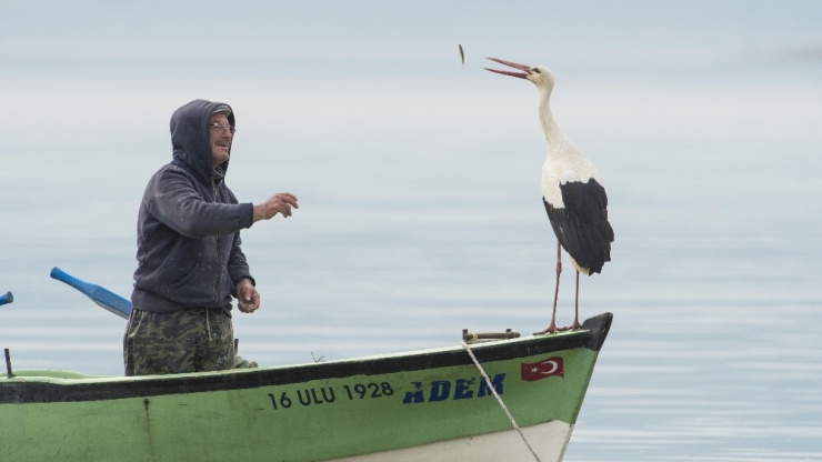 Yaren Leylek İle Adem Amca Arasına Korona Virüsü Girdi