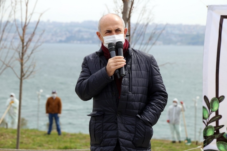 100’üncü Yıl Anısına 100 Zeytin Ağacı Dikildi