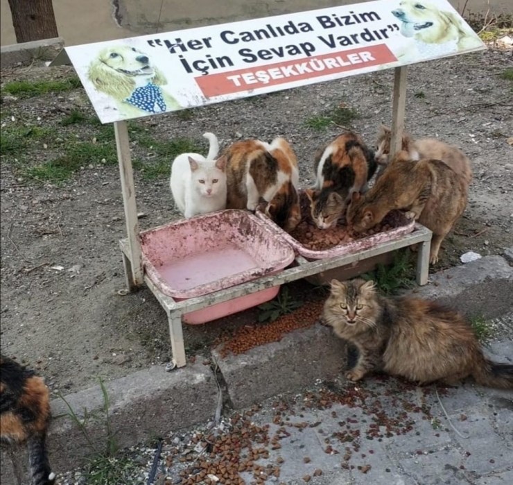 Devrek’te İyilik Daha Hızlı Buluşacak