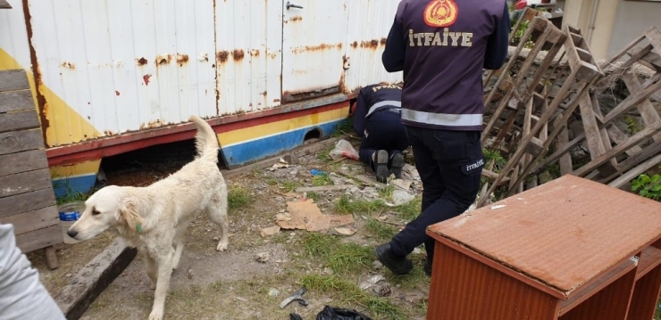 Konteyner Altına Sıkışan Yavru Köpeği İtfaiye Ekibi Kurtardı