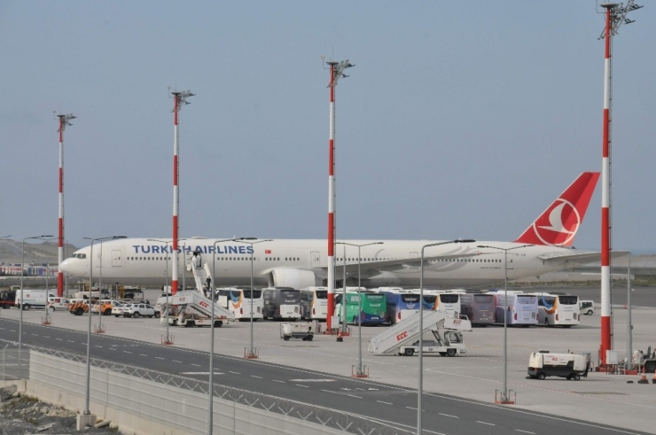 Birleşik Arap Emirlikleri’ndeki Türkler, Yurda Getirildi