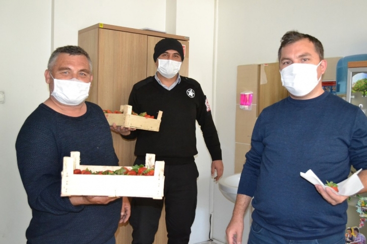 Ürettiği Çilekleri Sağlıkçılara İkram Etti