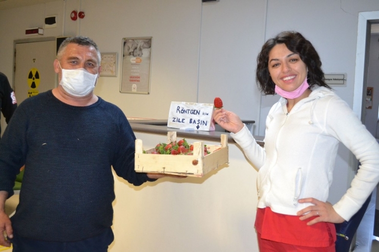 Ürettiği Çilekleri Sağlıkçılara İkram Etti