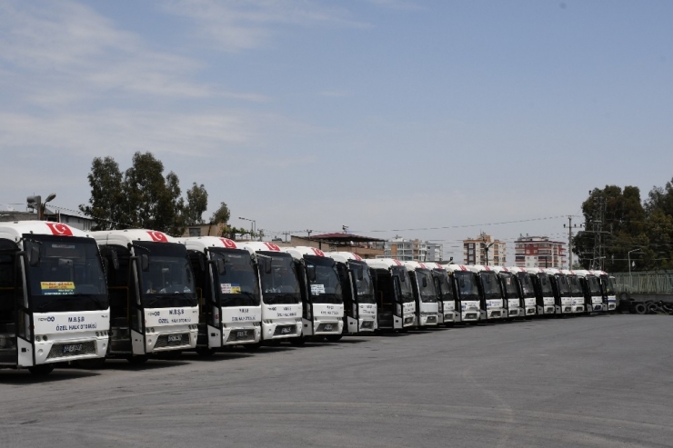 Korona Virüs Nedeniyle Çalışmayan Otobüsler Kuşların Yuvası Oldu