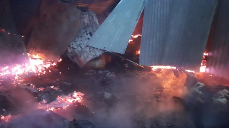 Tokat’ta Ahır Yangınında 7 Büyükbaş Hayvan Telef Oldu