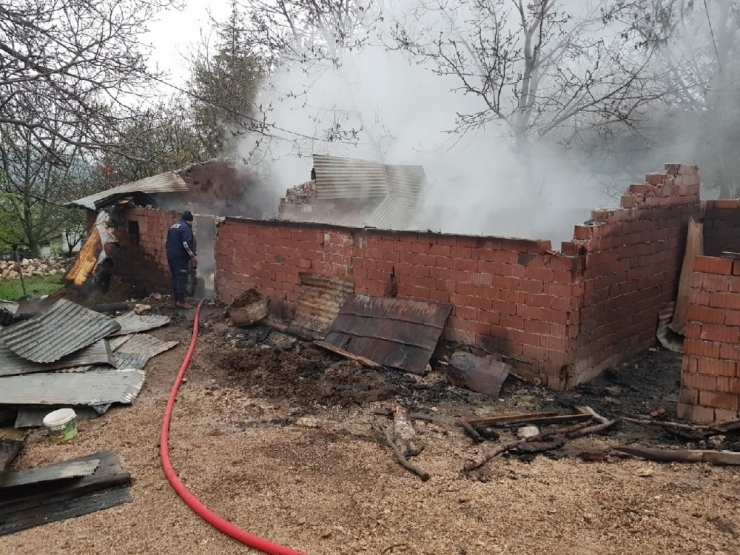 Tokat’ta Ahır Yangınında 7 Büyükbaş Hayvan Telef Oldu