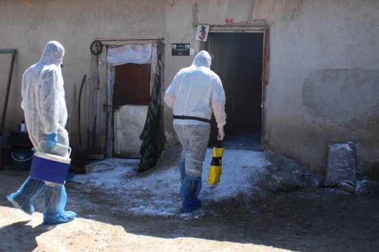 Veteriner Hekimlerin Milli Dayanışması