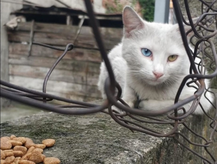 Devrek’te İyilik Daha Hızlı Buluşacak