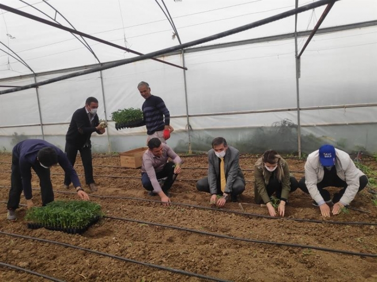 Battalgazi’de Fide Dikimi Yaygınlaştırılıyor