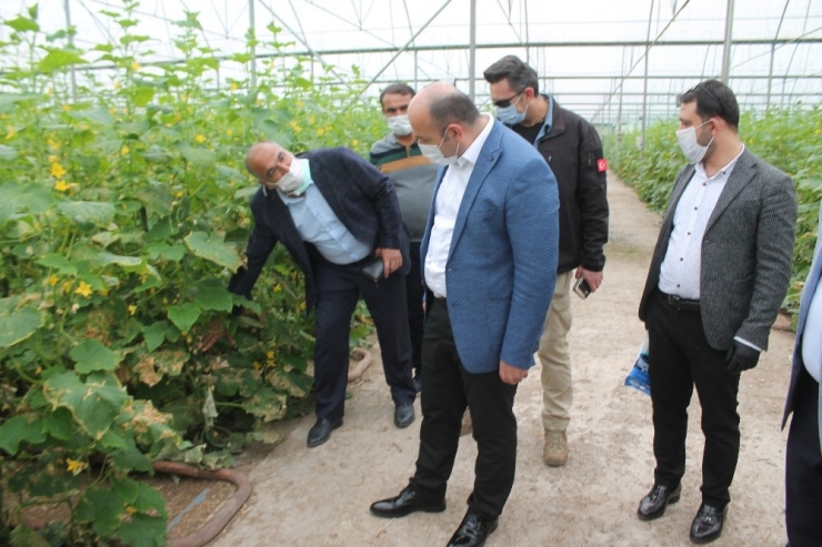 Diyarbakır’da Tarım Ve Hayvancılıkta Üretim Hız Kesmeden Sürüyor