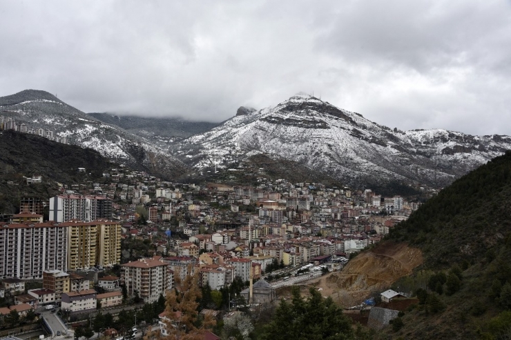 Gümüşhane’de Kar Yağışı Zirai Don Tehlikesini De Beraberinde Getirdi