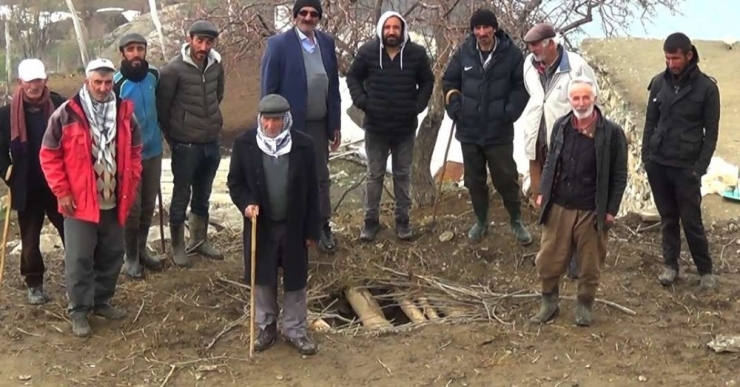 Kazdığı Damdan Ahıra Giren Ayı 20 Koyunu Telef Etti