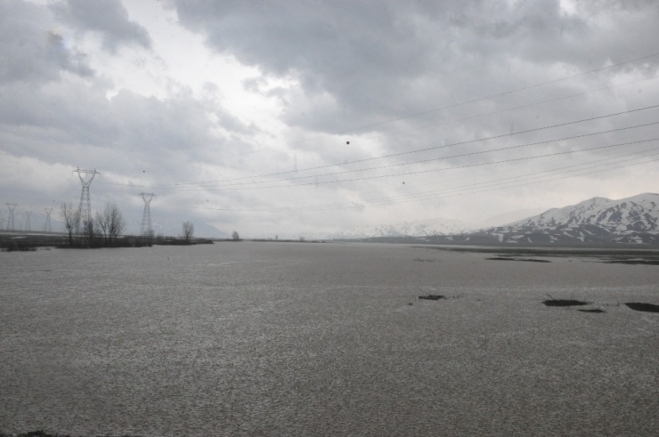Yüksekova’da Evler Ve İş Yerleri Sular Altında Kaldı