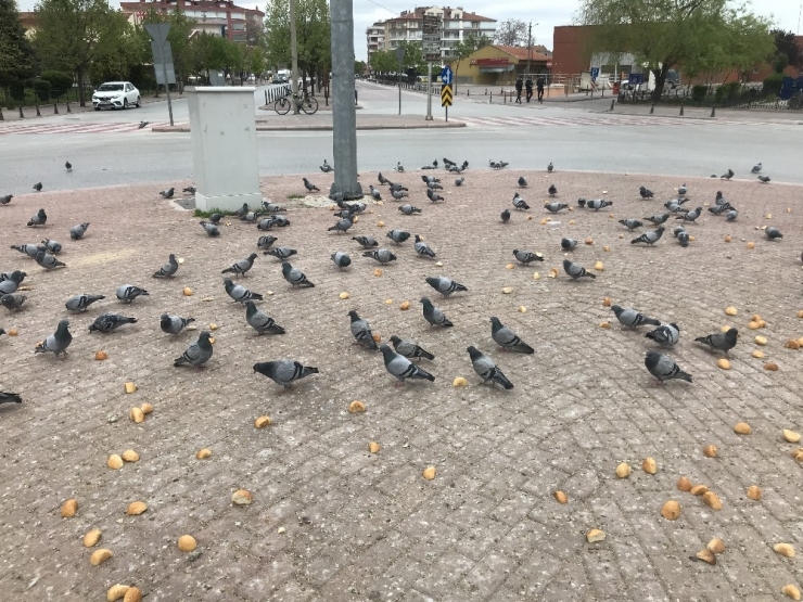 Trafik Polisinin Davranışı Yürekleri Isıttı