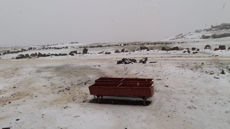 Tuzluca’da Yüksek Kesimler Beyaza Büründü