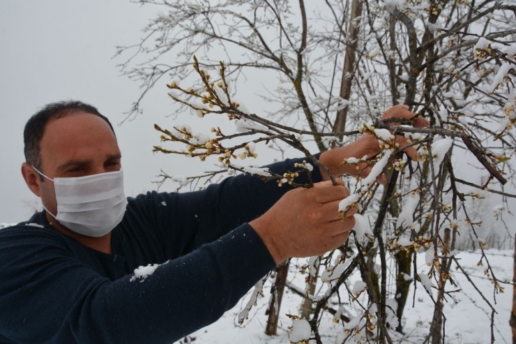 Ordu’da 23 Nisan’da Kar Sürprizi