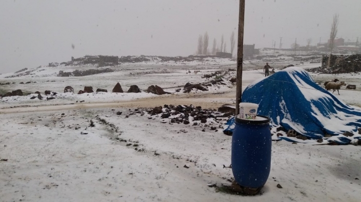 Tuzluca’da Yüksek Kesimler Beyaza Büründü