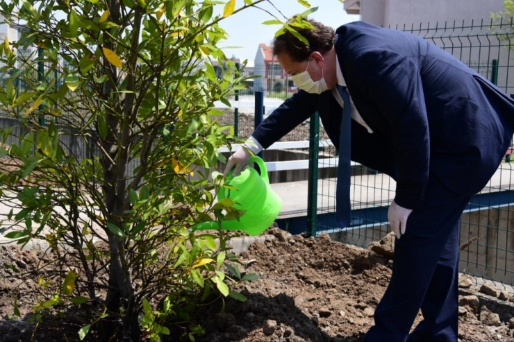 Karesi’den 100. Yıla 100 Fidan Dikimi