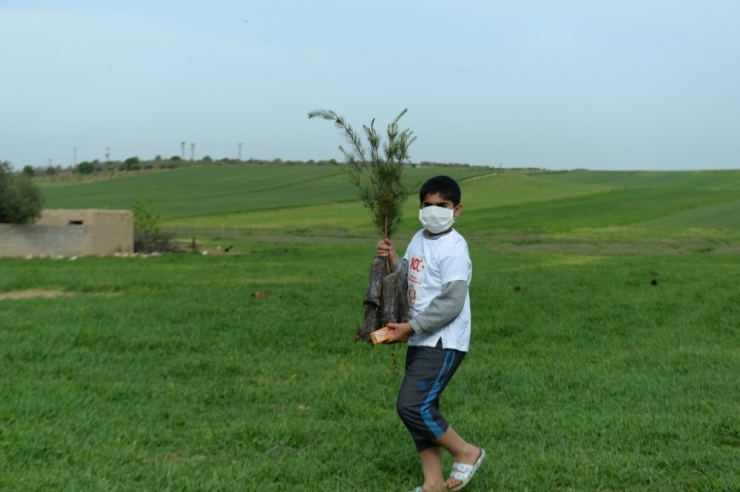 Mardin’de Çocuklar 23 Nisan’da 2 Bin 20 Çam Fidesini Toprakla Buluşturdu