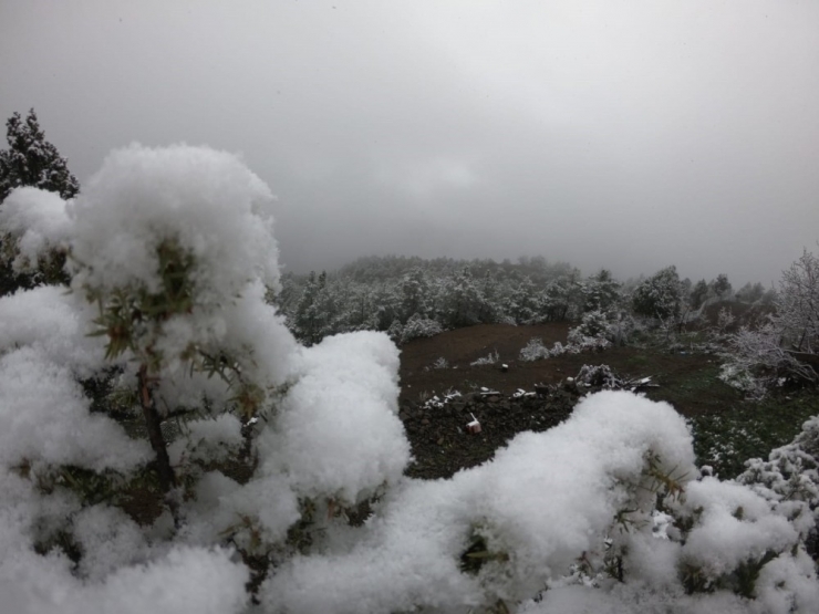 Artvin’de Nisan Ayında Kar Yağdı