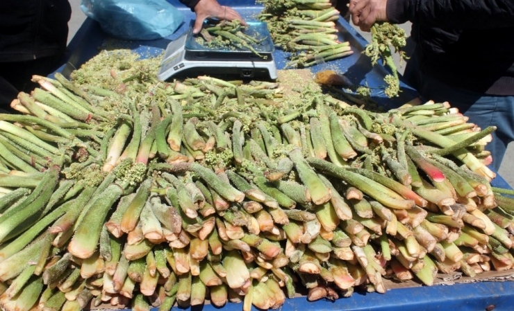 Şifa Kaynağı Işkın Tezgahlardaki Yerini Aldı