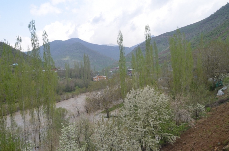 Sağanak Yağış Bahçeleri Su Altında Bıraktı